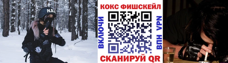 наркотики  Вытегра  Кокаин Fish Scale 