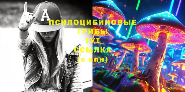 spice Дмитров