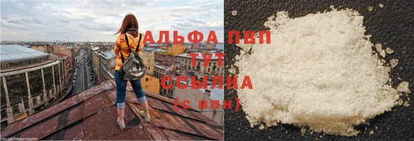 хмурый Дмитровск