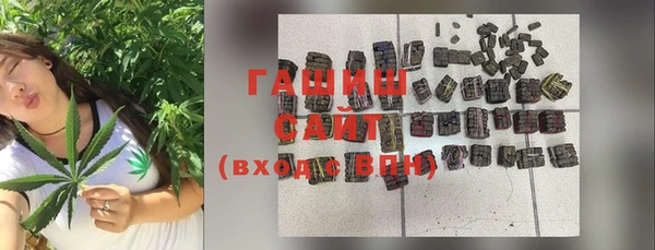 хмурый Дмитровск